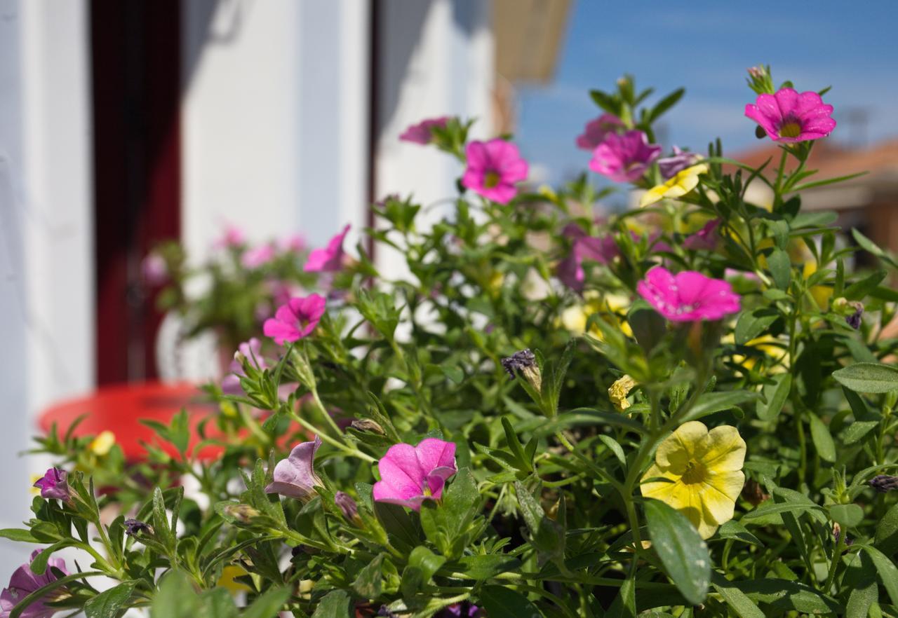 Casa Di Fiori Apartamento Lefkáda Exterior foto